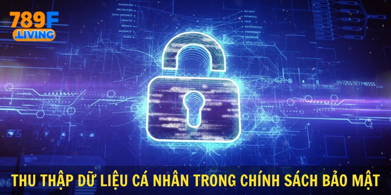 Thu thập dữ liệu cá nhân trong chính sách bảo mật